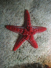 IMG_0259 IMG_0259