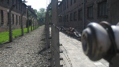 IMG_1162 IMG_1162