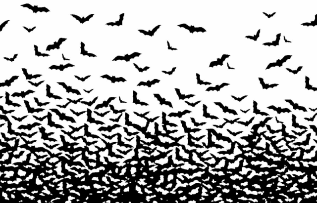 [bats-thousands-flying-family[6].gif]
