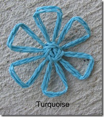 turquoisedaisy