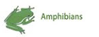 Amphibians
