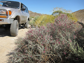 LandCruiser in Carrizo Gorge - Anza Borrego