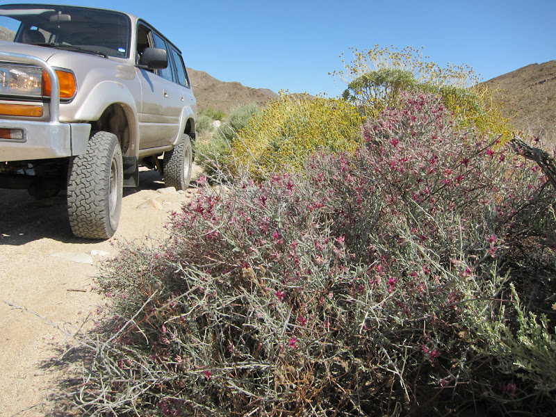 Lumbering up Carrizo Gorge in our diesel Land Cruiser