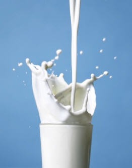 [leche-fresca[3].jpg]
