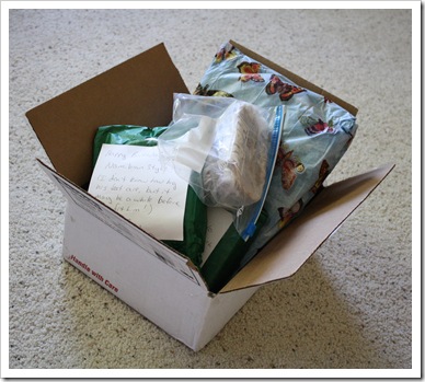 the box 001