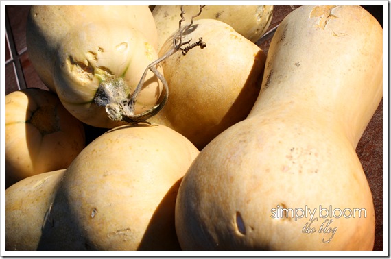 Squash