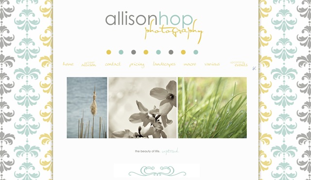 [AHOPSite4.jpg]