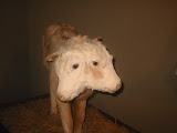 Picture 124.jpg