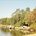 72280015.jpg, Borovoe