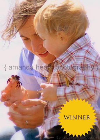 [winning photo1[4].jpg]