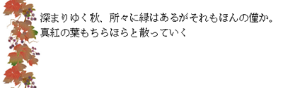 [image[10].png]