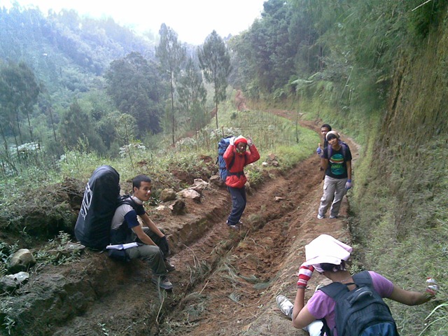 [061120100052.jpg]