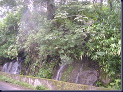 DSC02637
