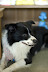 DSC_5724.jpg