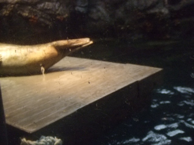 [Aquarium 007[2].jpg]