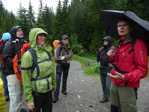 Ule