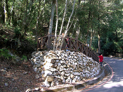 98 年元旦露營 @台中大雪山林道，台中谷關 (3-1)