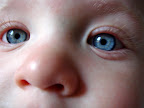 Lars erklärt: Blaue Augen...