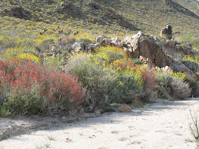 The trail up RockHouse Canyon was lined with color.