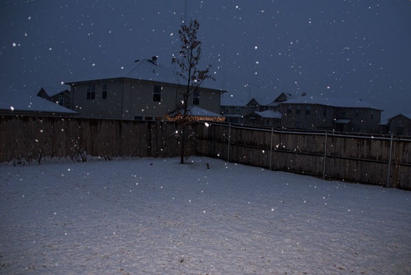 [DSC01767[2].jpg]