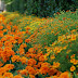 DSC_5392.JPG, Sigulda + Turaida