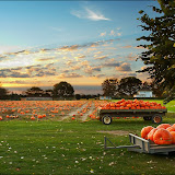 50-oNe-50z Fall season
