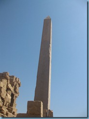 IMG_1353 IMG_1353