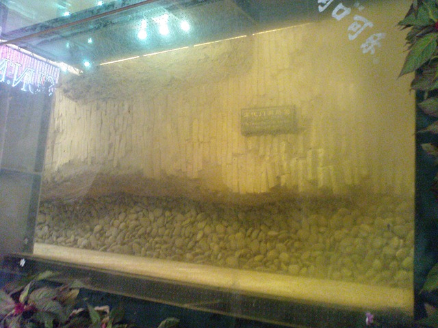 [DSC00163[3].jpg]