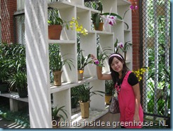 Orchid Garden (13) Orchid Garden (13)