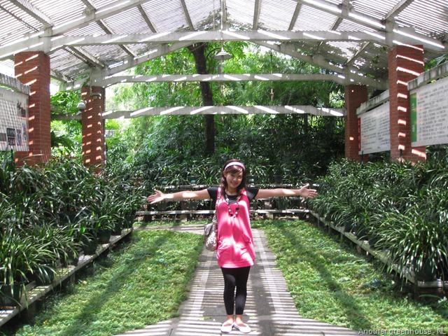 [Orchid Garden (26)[2].jpg]
