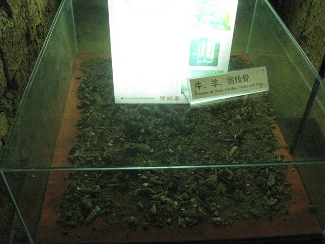 [MuseumofNanyueking0473.jpg]