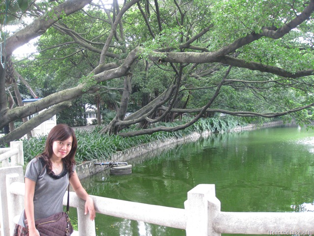 [Liuhuahugongyuan (6)[2].jpg]