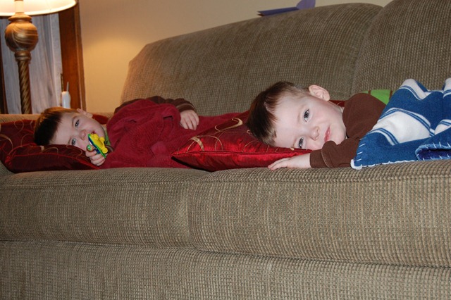 [DSC_0398[1].jpg]