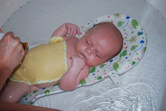 [DSC_0060[1].jpg]