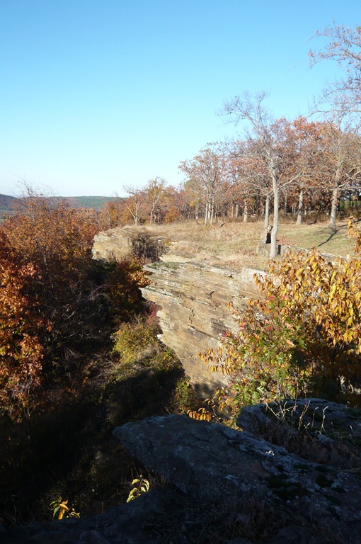 [P1040882[3].jpg]