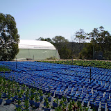 P9250027.JPG