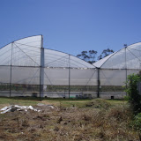 PA040015.JPG