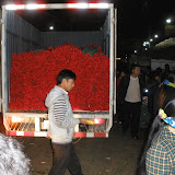 Anjertransport