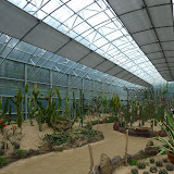P1010166.JPG