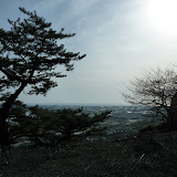 P1010305.JPG