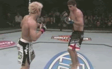 Джош Кошчек (Josh Koscheck) Джош Кошчек (Josh Koscheck)