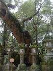 DSCF4434.JPG