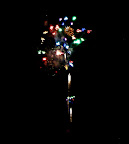 DSCF2950.JPG