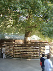 DSCF3113.JPG