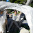 20060604 Monterey 17Miles - 109