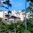 20060604 Monterey 17Miles - 094