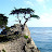 20060604 Monterey 17Miles - 098