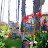 20060702 Santa Barbara - 059