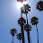 20060702 Santa Barbara - 069