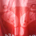 Marmotte 2010